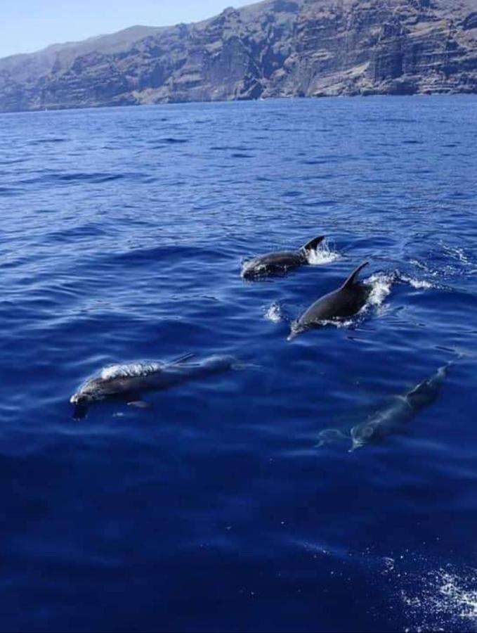 Apartamento Cerca De La Playa Leilighet Acantilado de los Gigantes Eksteriør bilde